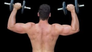 Gym Workout Plan for Beginners