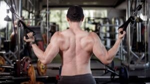 Rear Delt Fly