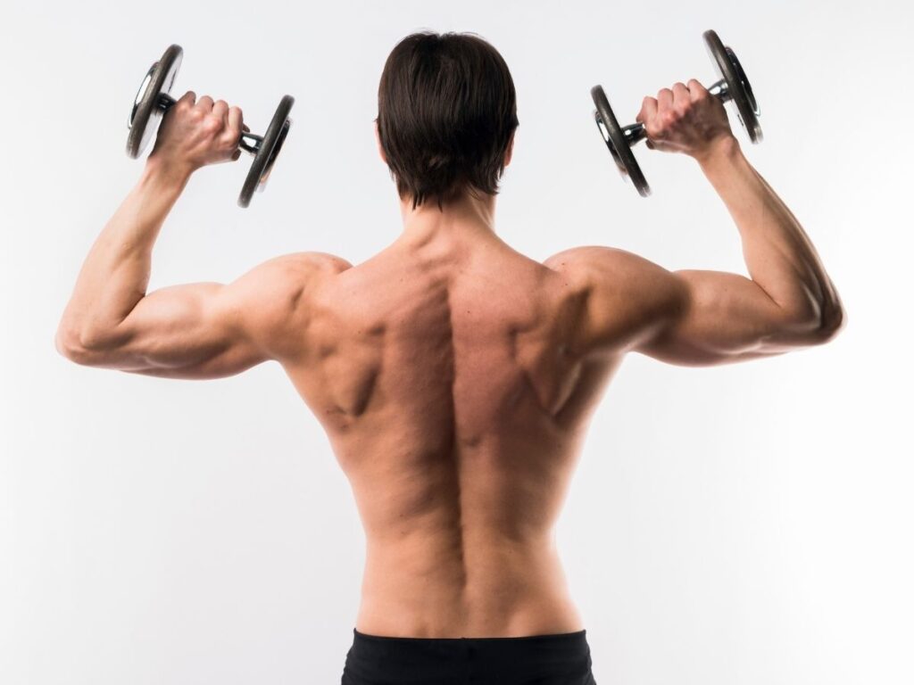 Bicep Tricep and Shoulder Workout